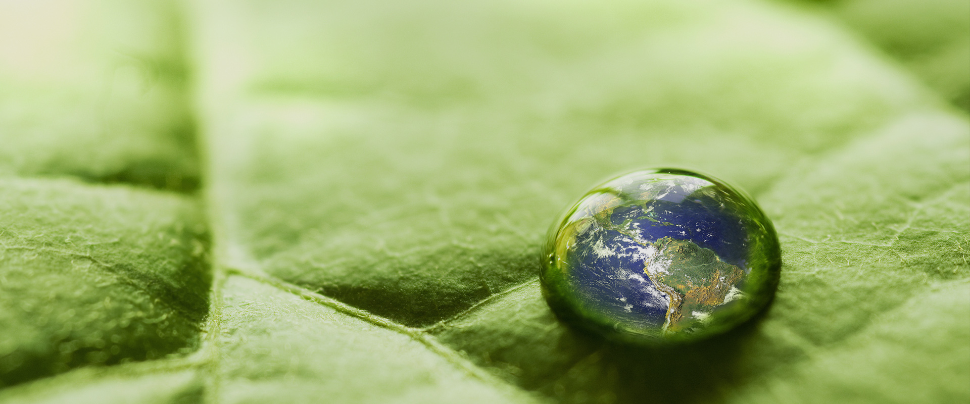 保護(hù)環(huán)境，就是保護(hù)生產(chǎn)力